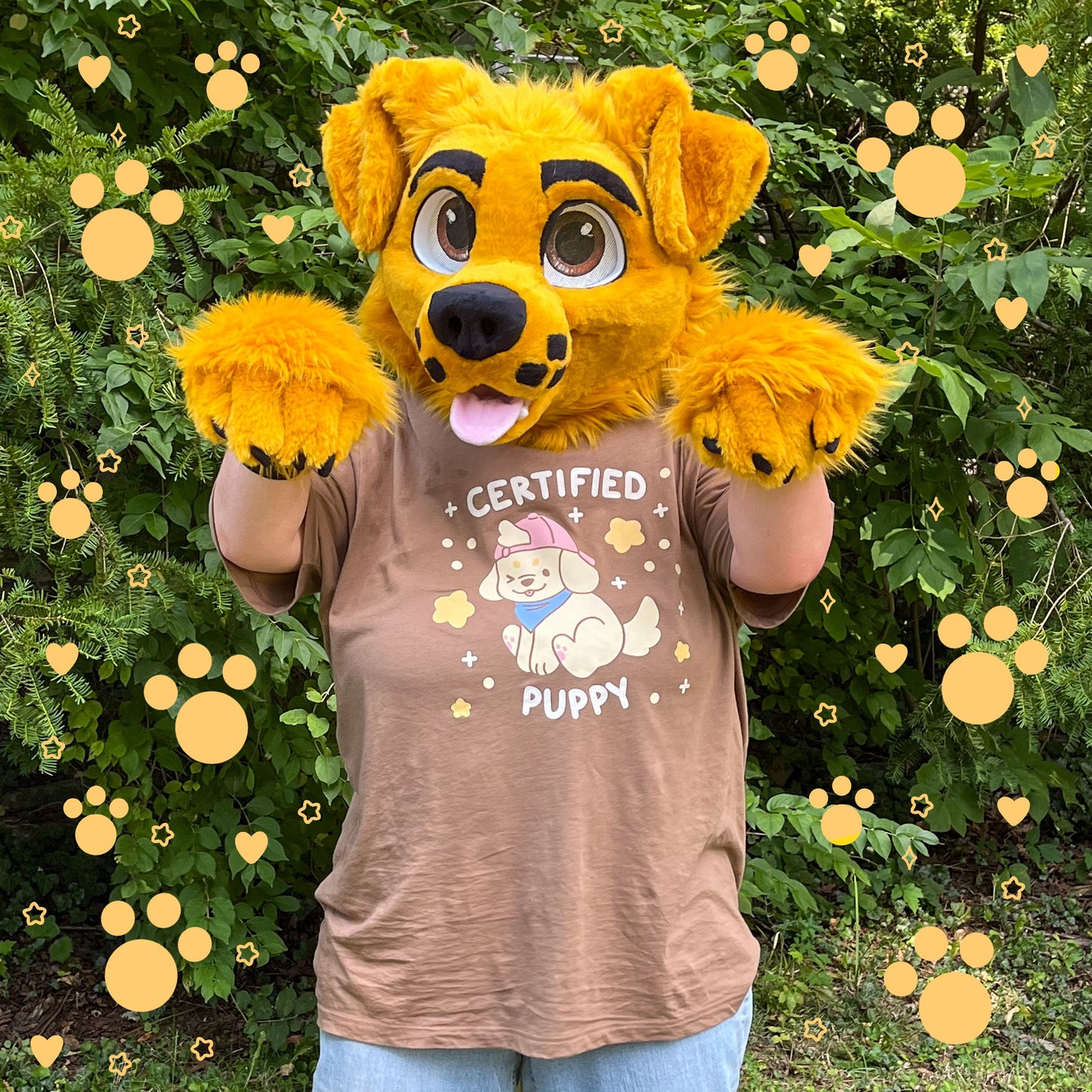 certified puppy t-shirt