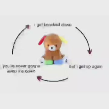 cookie the colorful puppy plushie
