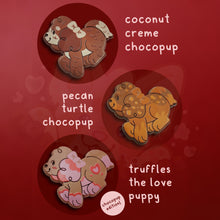 Load image into Gallery viewer, box of chocopups mystery pin boxes
